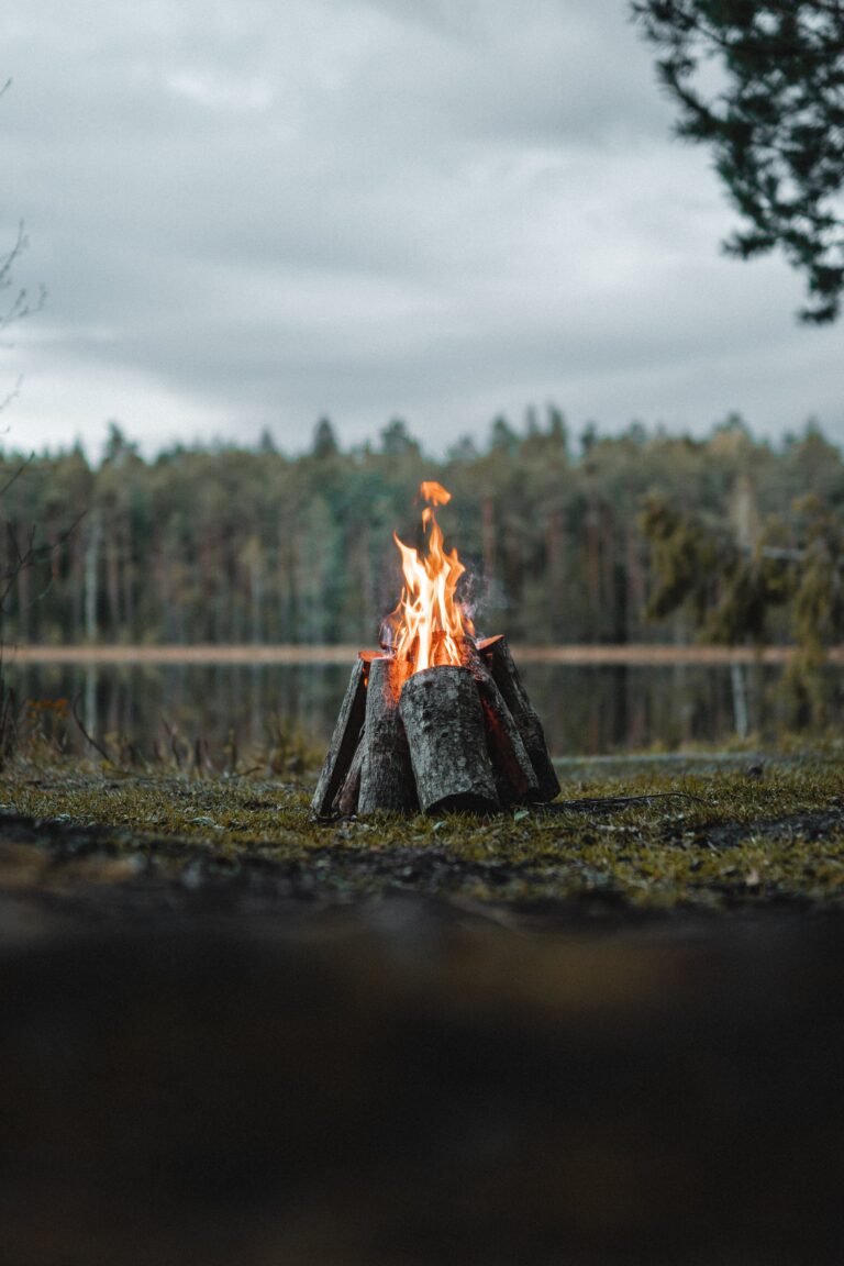 A campfire burns brightly within a teepee-like structure formed by upright logs, radiating warmth and light.